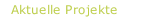 Aktuelle Projekte